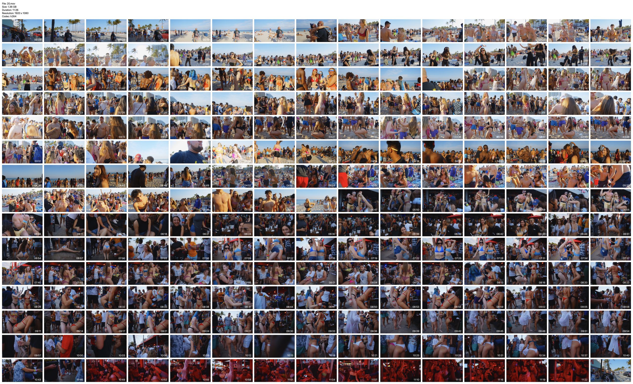 Spring Break Video Clips Part 3 2022