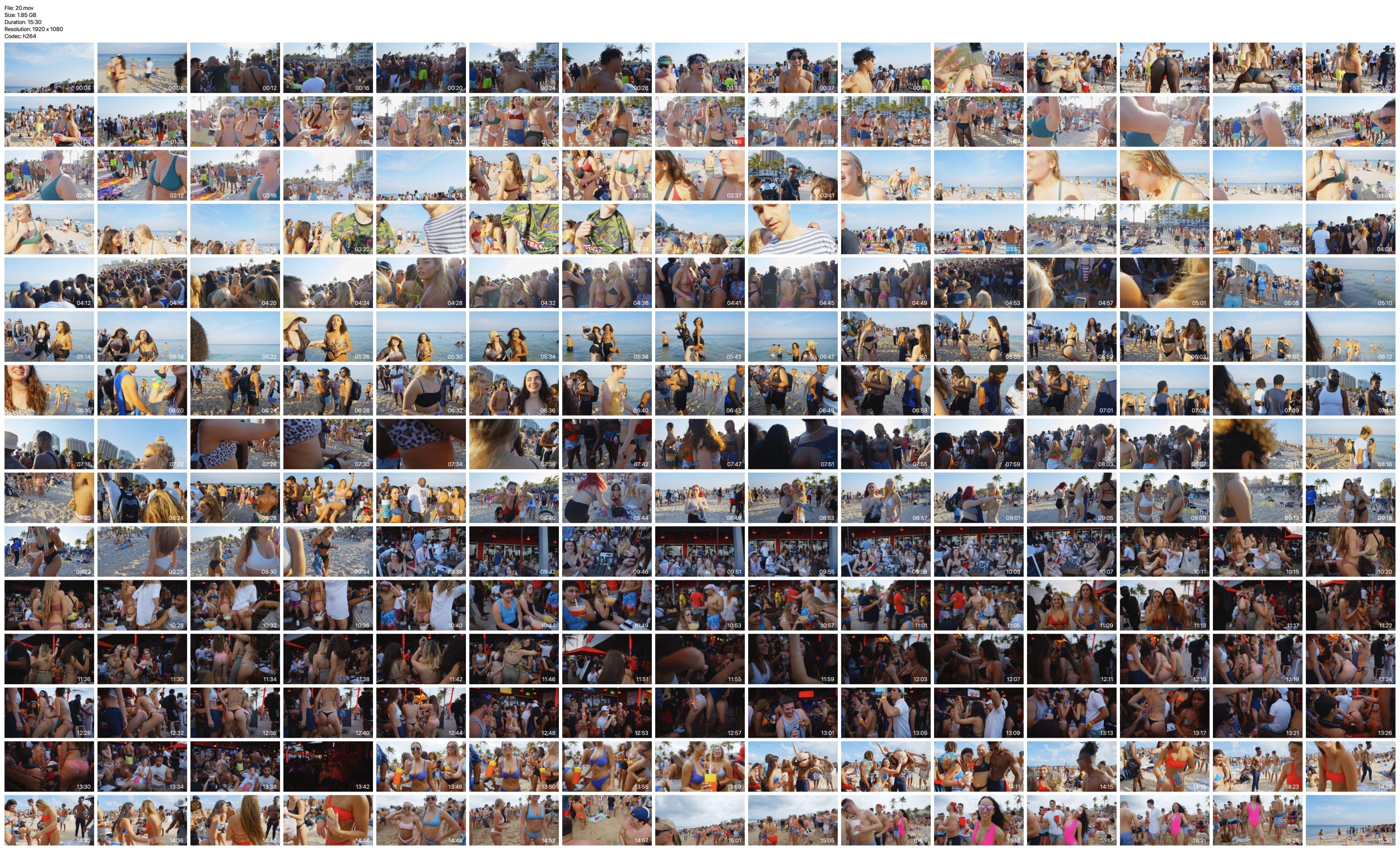 Spring Break Video Clips Part 4 2022